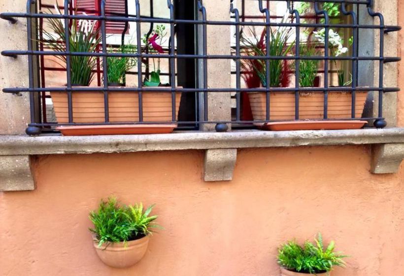 Hotel Domus Tiberina  | Roma | Roma | Italia 4