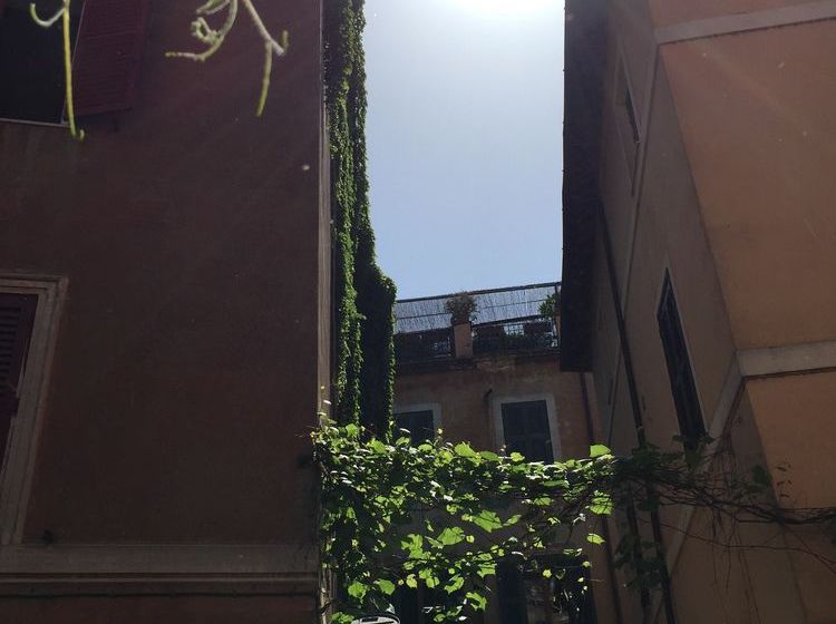 Hotel Domus Tiberina  | Roma | Roma | Italia 9