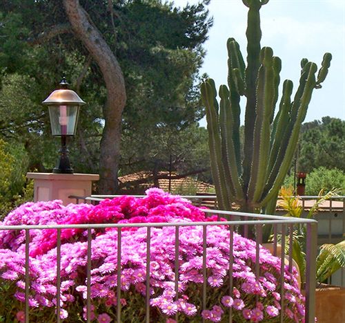 Hotel Atlantico  | Castiglioncello | Livorno | Italia 14