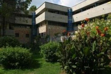 Hotel Degli Ulivi Pugnochiuso Resort  | Vieste | Foggia | Italia 4