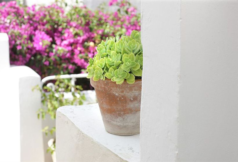 Hotel Relais Corte Palmieri  | Gallipoli | Lecce | Italia 14