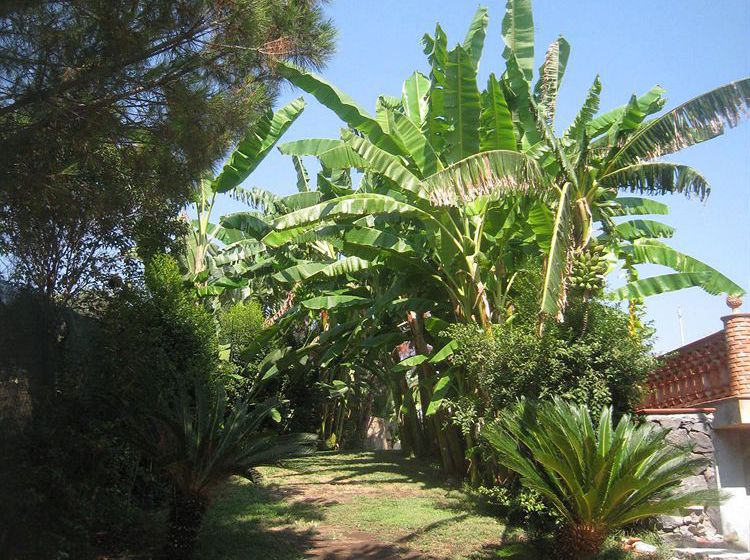 Hotel Villa Delle Palme Catania