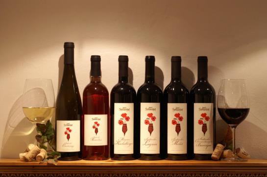 Hotel Sittnerhof  | Merano | Bolzano | Italia 13