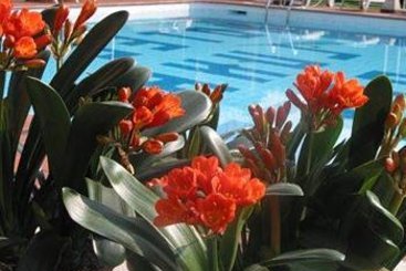 Ambienthotel Luna Rossa  | Malcesine | Verona | Italia 5