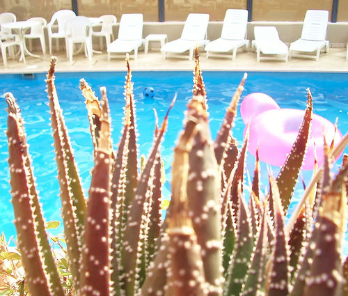 Hotel Ducale  | Cattolica | Rimini | Italia 8