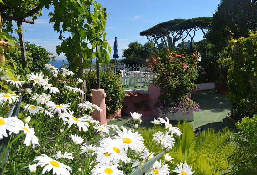 Hotel Bel Tramonto  | Casamicciola Terme-Isole Ischia | Napoli | Italia 11