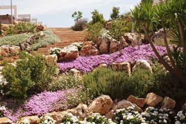 Riva Marina Resort  | Carovigno | Brindisi | Italia 7