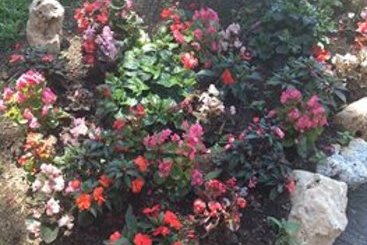 Hotel Regal Park  | Roma | Roma | Italia 3