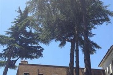 Hotel Regal Park  | Roma | Roma | Italia 5