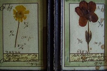 Hotel Casa De Fiori  | Roma | Roma | Italia 10