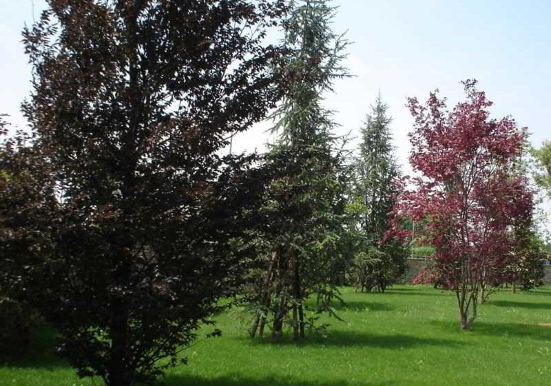 Grand Hotel Del Parco  | Stezzano | Bergamo | Italia 2