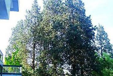 Hotel New Tiffany's Park  | Lido di Jesolo | Venezia | Italia 1