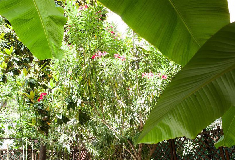 Hotel Almes  | Roma | Roma | Italia 12