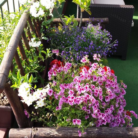 Hotel Sky Sleeping Palermo