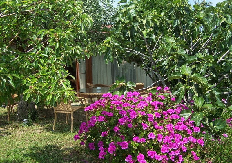 Hotel Club Ragno d'Oro  | Aglientu | Sardinia | Itália 9