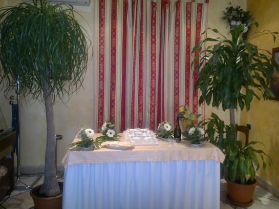 Hotel La Mimosa  | Lamezia Terme | Catanzaro | Italia 15