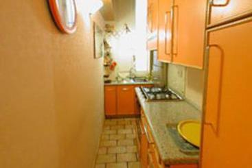 Navonavia Dei Cartari  | Roma | Roma | Italia 1