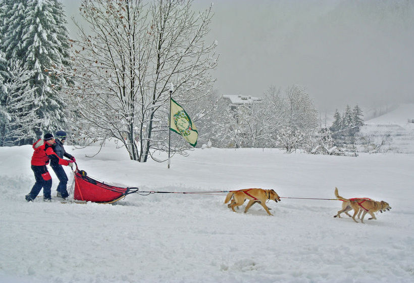 Hotel Auberge De La Maison  | Courmayeur | Aosta | Italia 1