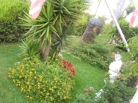 Hotel Harmony  | Tortora | Cosenza | Italia 6