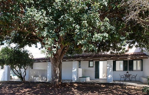 Hotel A Due Passi Dal Pizzo  | Gallipoli | Lecce | Italia 10