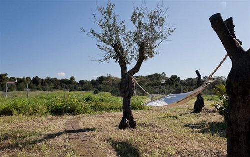 Hotel A Due Passi Dal Pizzo  | Gallipoli | Lecce | Italia 12