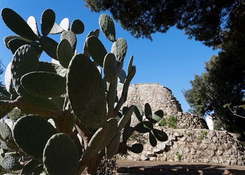 Hotel A Due Passi Dal Pizzo  | Gallipoli | Lecce | Italia 3