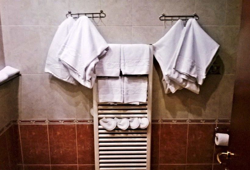 Hotel Shasa  | Roma | Roma | Italia 1