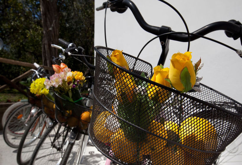 Bed & Breakfast Casa Correale  | Sorrento | Napoli | Italia 20