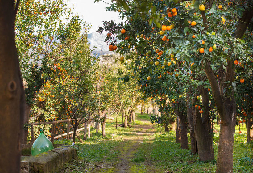 Bed & Breakfast Casa Correale  | Sorrento | Napoli | Italia 7