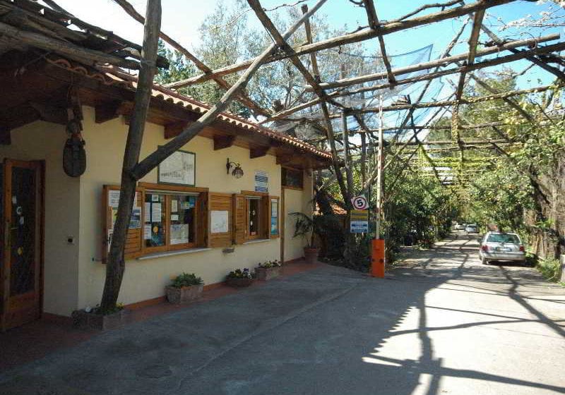 Villaggio Verde Sorrento  | Sorrento | Napoli | Italia 18