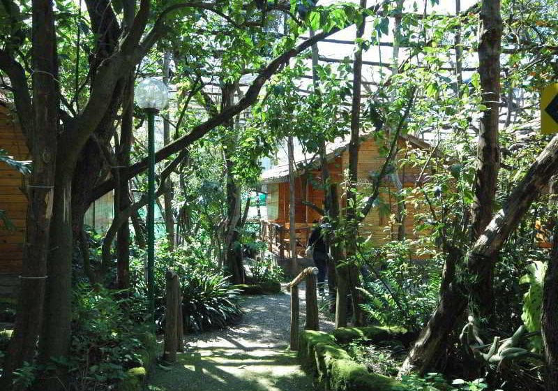 Villaggio Verde Sorrento  | Sorrento | Napoli | Italia 19