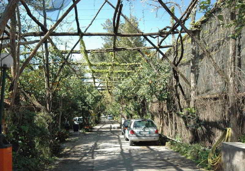 Villaggio Verde Sorrento  | Sorrento | Napoli | Italia 6