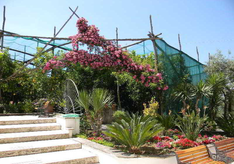 Bed and Breakfast Oasi Madre della Pace  | Sorrento | Napoli | Italia 10