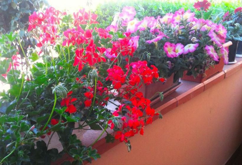 Bed and Breakfast A Casa Doina Airport 2  | Pisa | Pisa | Italia 5