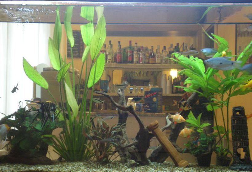 Hotel Villa Primavera  | Pisa | Pisa | Italien 3