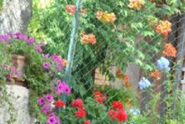 Bed and Breakfast La Piccola Quercia  | Stroncone | Terni | Italia 7