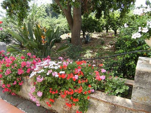 Bed & Breakfast Baglio Delle Rose  | Giarre | Catania | Italia 3