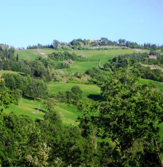 Hotel La Meridiana  | Trasanni di Urbino | Pesaro e Urbino | Italia 20