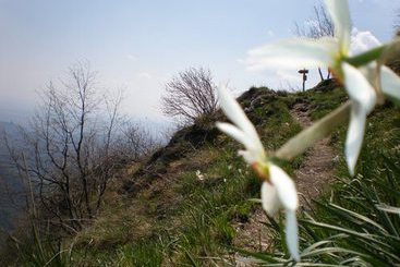 Bed and Breakfast Mi Casa Tu Casa  | Refrontolo | Treviso | Italia 4