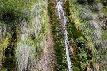 Bed and Breakfast Mi Casa Tu Casa  | Refrontolo | Treviso | Italia 5