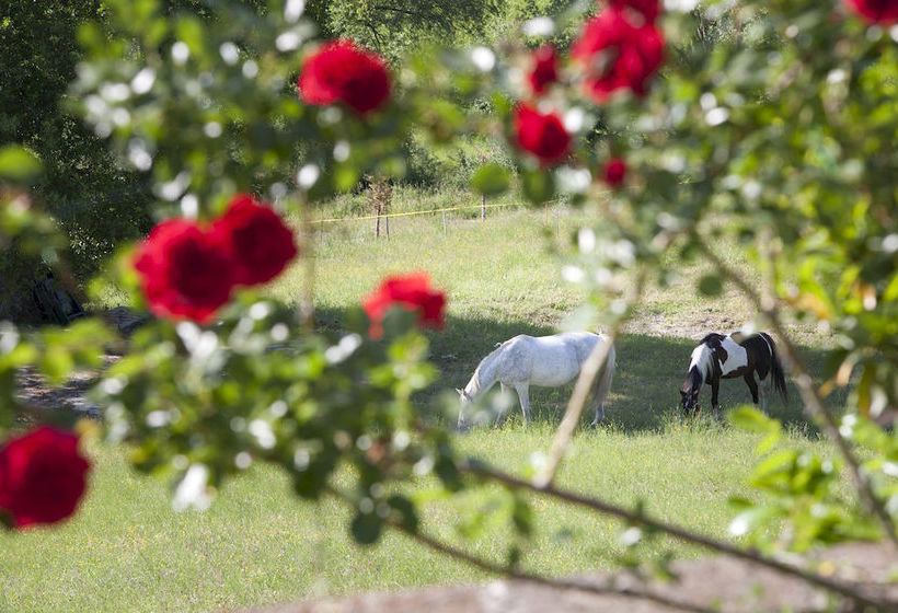 Umbria Resort  | Fabro | Terni | Italia 19