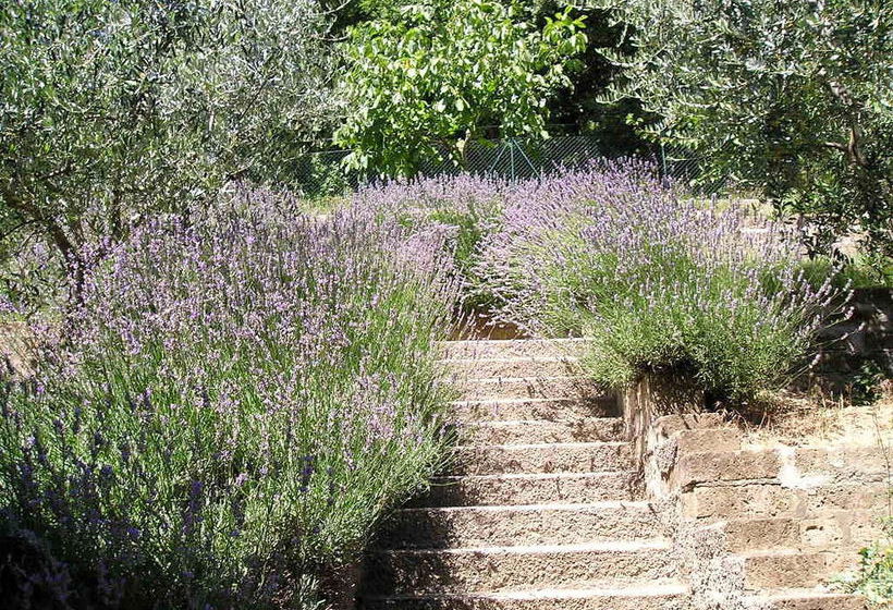 Bed & Breakfast Le Terrazze  | Perugia | Perugia | Italia 15