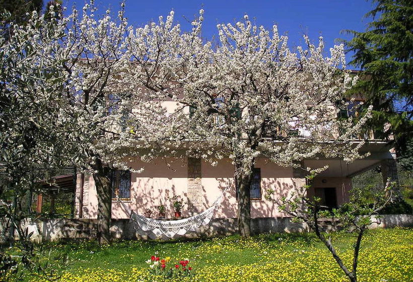 Bed & Breakfast Le Terrazze  | Perugia | Perugia | Italia 17