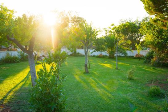 Bed & Breakfast Masseria Cesarina Castellana Grotte