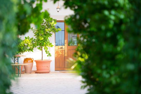 Bed & Breakfast Masseria Cesarina  | Castellana Grotte | Bari | Italia 6