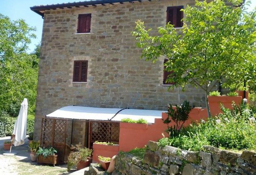 Agriturismo Il Noceto  | Assisi | Perugia | Italia 4