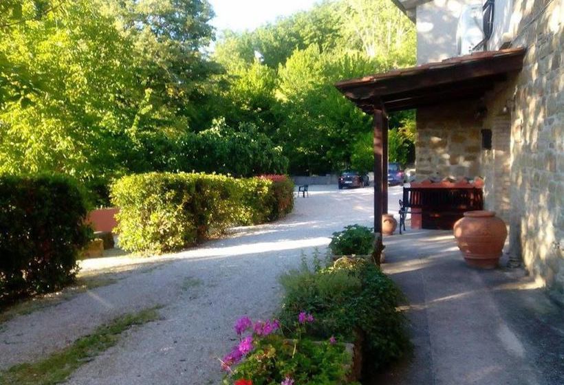 Agriturismo Il Noceto  | Assisi | Perugia | Italia 5