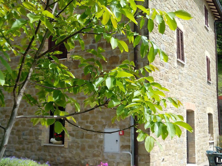 Agriturismo Il Noceto  | Assisi | Perugia | Italia 6