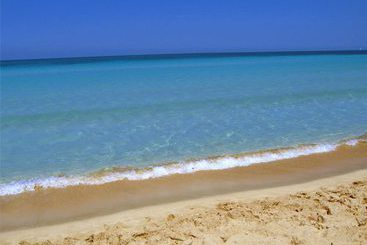 Bed and Breakfast Belvedere