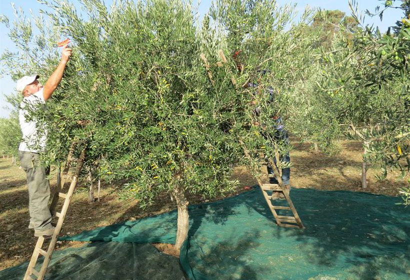 Agriturismo Valle Benuara  | Trapani | Trapani | Italia 1